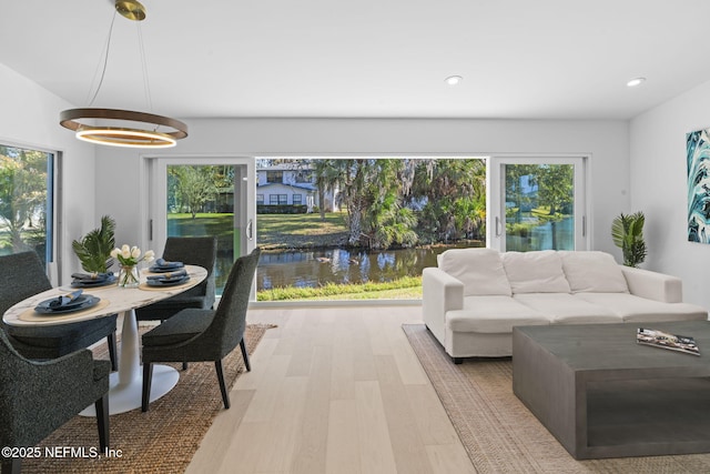 living room featuring light hardwood / wood-style floors