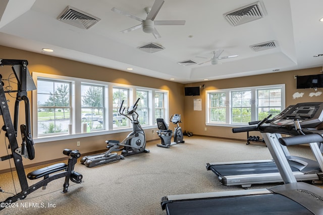 workout area featuring a tray ceiling, ceiling fan, plenty of natural light, and carpet floors