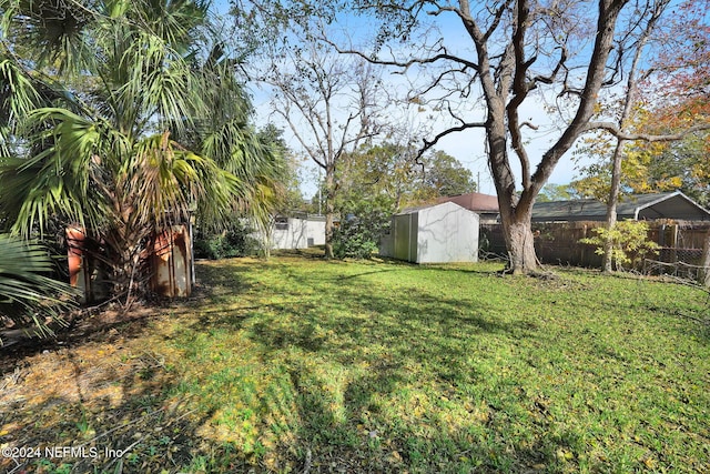 view of yard featuring a storage unit