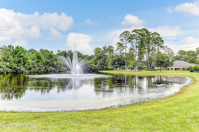 view of water feature