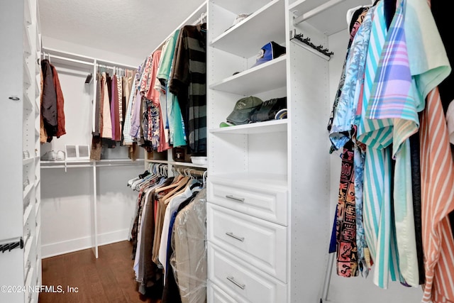 walk in closet featuring hardwood / wood-style floors