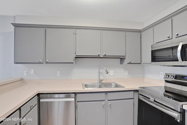 kitchen featuring gray cabinets, stainless steel appliances, a textured ceiling, and sink