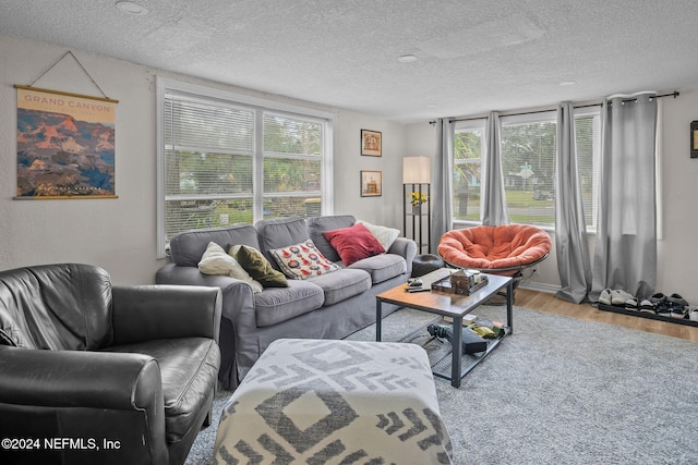 living room featuring wood-type flooring, a textured ceiling, and a wealth of natural light