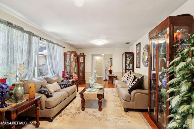 living room with wood-type flooring