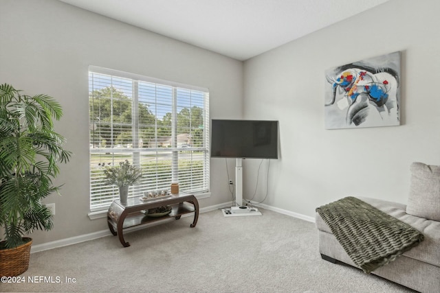 sitting room featuring carpet