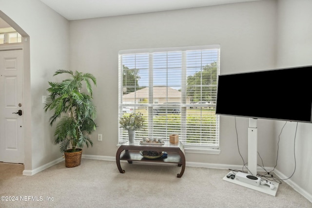 sitting room featuring a healthy amount of sunlight and carpet floors