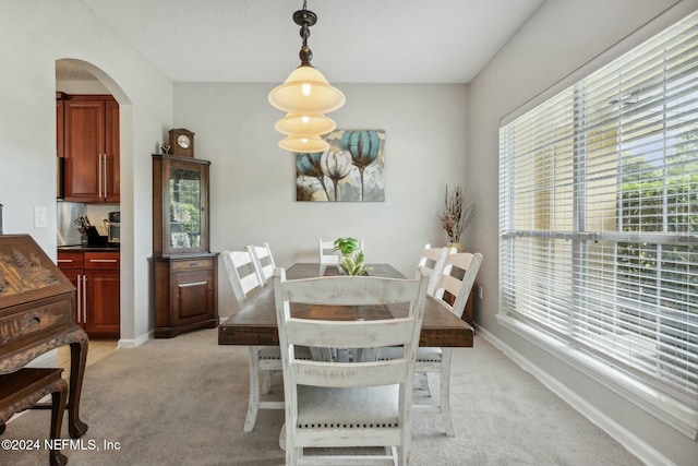 carpeted dining room featuring plenty of natural light