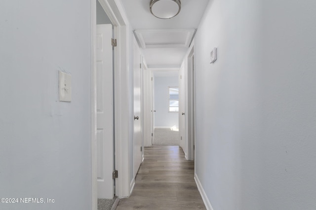 hall with light hardwood / wood-style floors