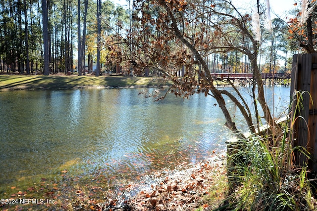 view of water feature