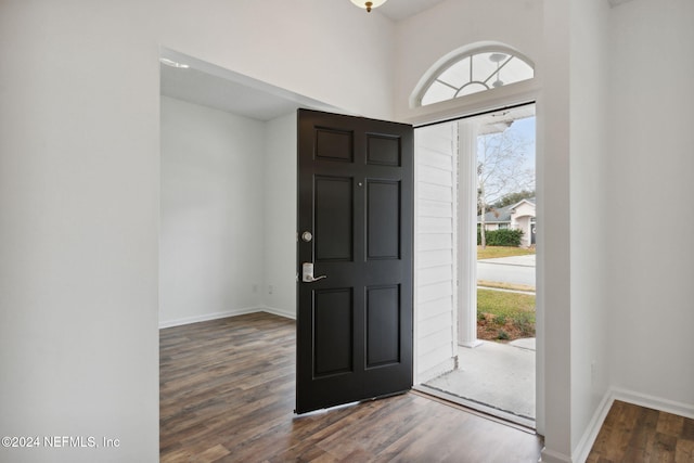 entrance foyer featuring dark hardwood / wood-style flooring