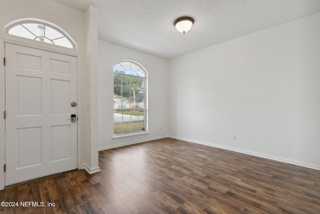 entrance foyer with a textured ceiling, dark hardwood / wood-style floors, and plenty of natural light