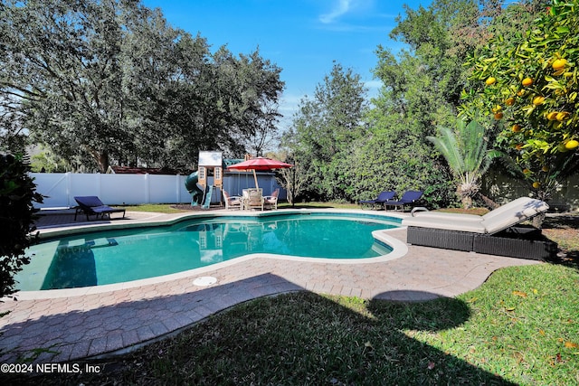 view of pool with a playground and a patio