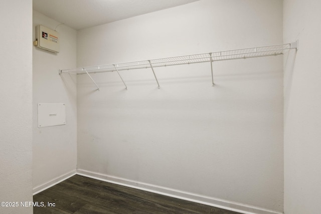 spacious closet featuring dark wood-type flooring