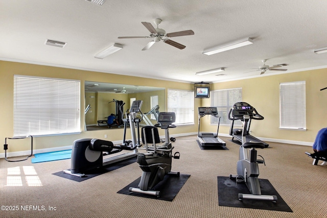 exercise room with ceiling fan, ornamental molding, carpet flooring, and a textured ceiling