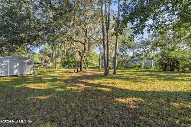 view of yard with a shed