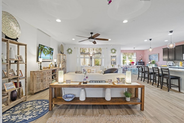 living room with ceiling fan and light hardwood / wood-style flooring