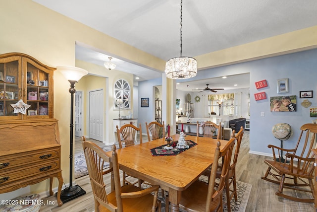 dining area with ceiling fan and light hardwood / wood-style floors