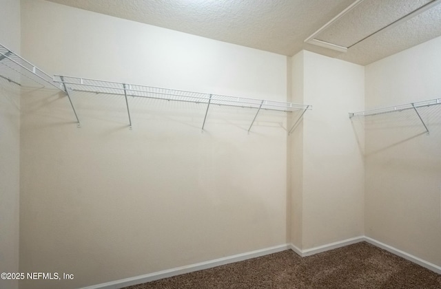 walk in closet featuring carpet floors and attic access