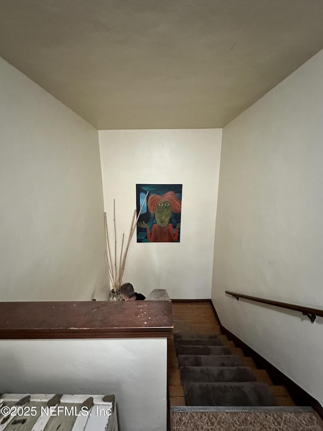 stairway featuring wood-type flooring