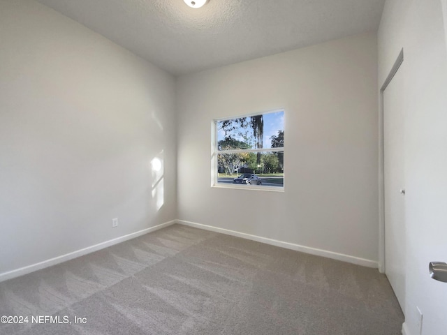 empty room featuring carpet floors and a textured ceiling