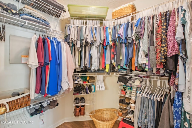 walk in closet with hardwood / wood-style flooring