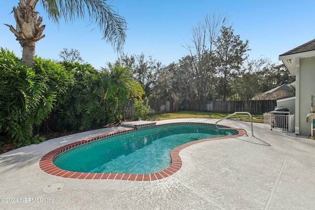 view of pool featuring grilling area and a patio