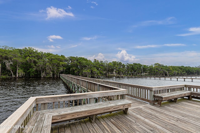 dock area with a water view