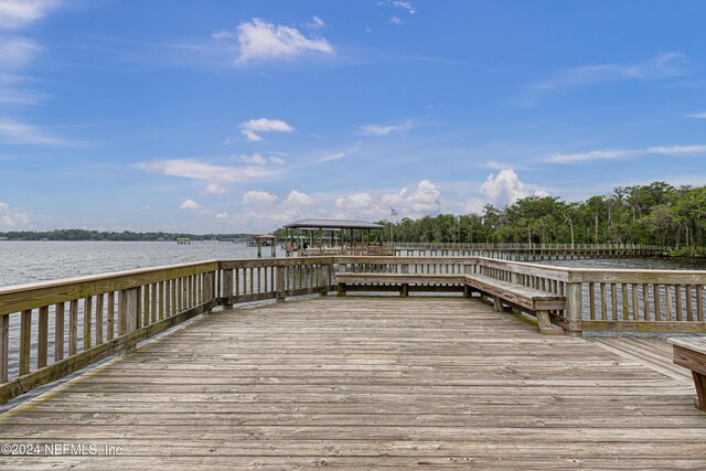 dock area with a water view