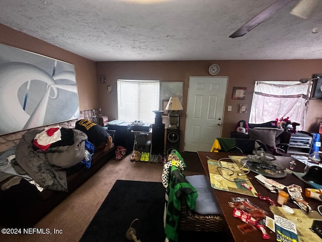 interior space featuring carpet flooring and a textured ceiling