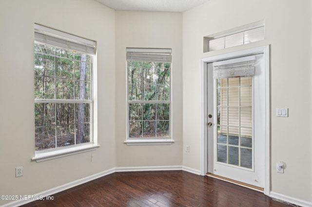 doorway featuring dark hardwood / wood-style floors and a healthy amount of sunlight