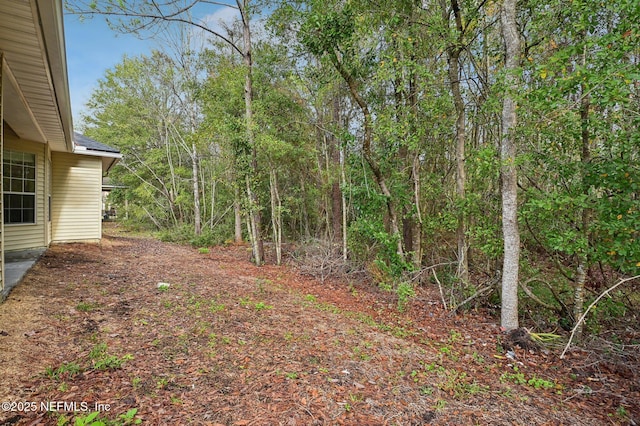 2763 Spoonbill Trl, Orange Park, FL 32073 - photo 43
