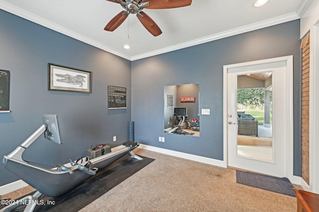 exercise area featuring carpet, ceiling fan, and crown molding