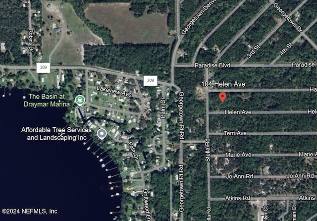 104 Helen Ave, Georgetown FL, 32139 land for sale