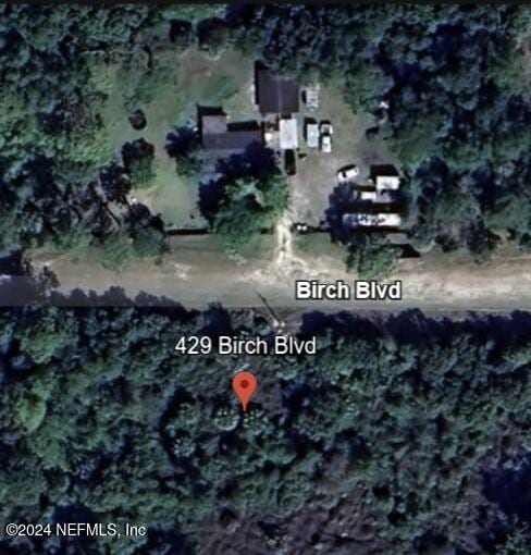 429 Birch Blvd, Georgetown FL, 32139 land for sale