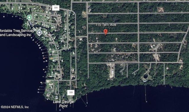 116 Terri Ave, Georgetown FL, 32139 land for sale