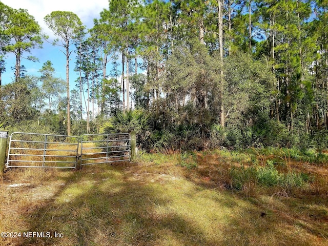 160 Edgemere Dr, Georgetown FL, 32139 land for sale