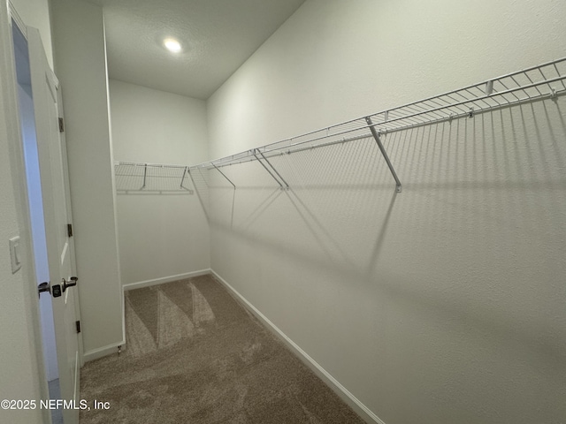 walk in closet featuring carpet flooring