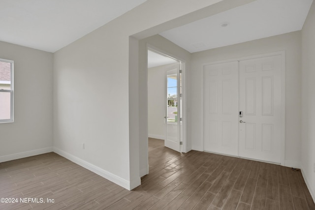 foyer featuring wood-type flooring