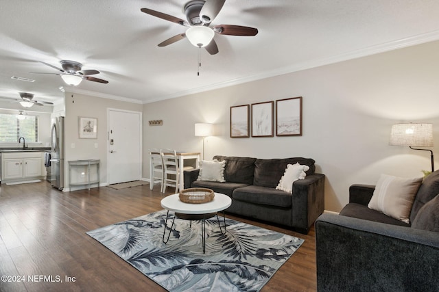 living room with sink, ornamental molding, and dark wood-type flooring