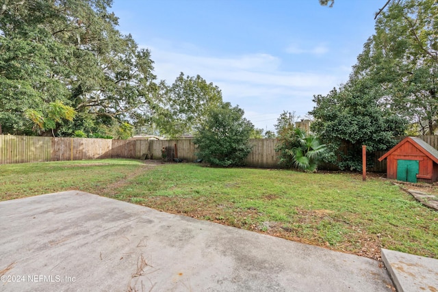 view of yard featuring a patio