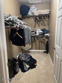 spacious closet with carpet