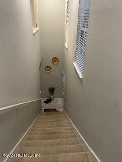 stairway featuring hardwood / wood-style floors