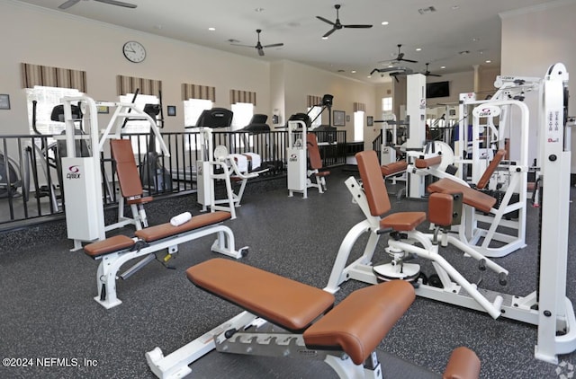 exercise room featuring ceiling fan, plenty of natural light, and ornamental molding