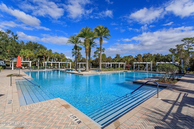 view of pool featuring a patio area