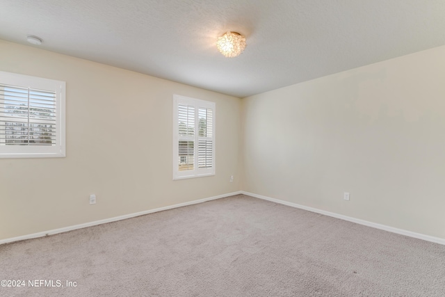 spare room with carpet floors and a healthy amount of sunlight