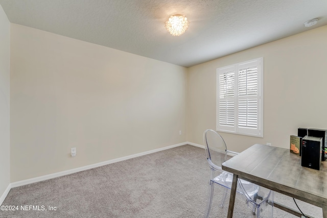 carpeted office space with a textured ceiling