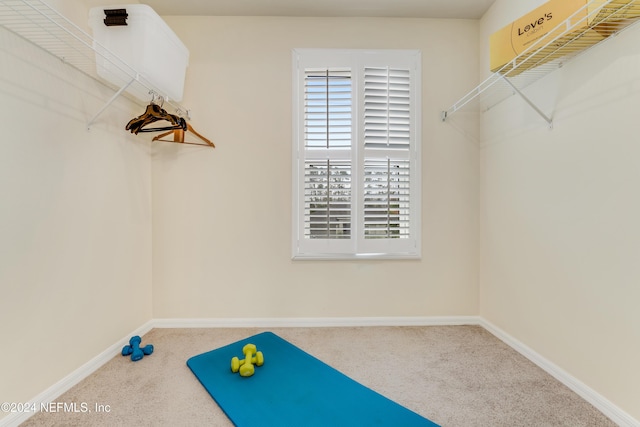 spacious closet with carpet floors