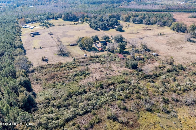 11289 SW 85th Ave, Hampton, FL 32044 - view of rural area with a heavily wooded area