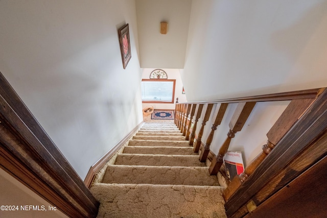 11289 SW 85th Ave, Hampton, FL 32044 - staircase with carpet flooring