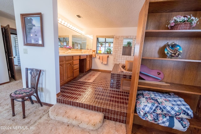 11289 SW 85th Ave, Hampton, FL 32044 - full bath with a textured ceiling and vanity
